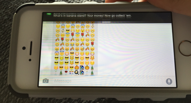 A typically informative text from a Fifth Grader.